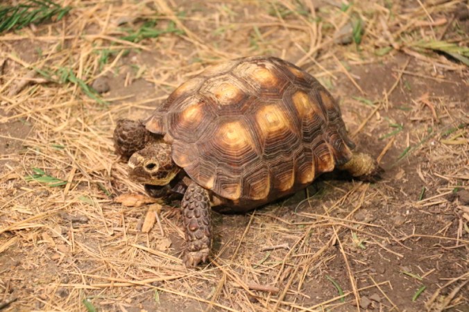 september-2016-033_11_1