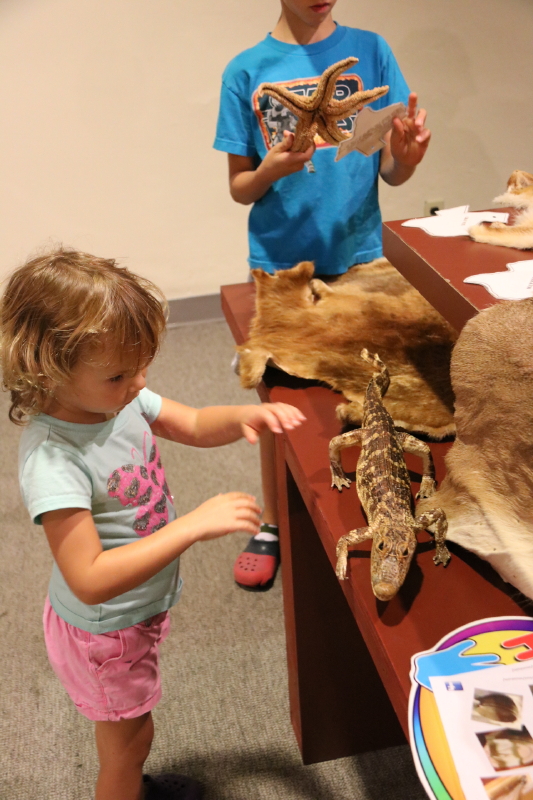 september-2016-039_3_1