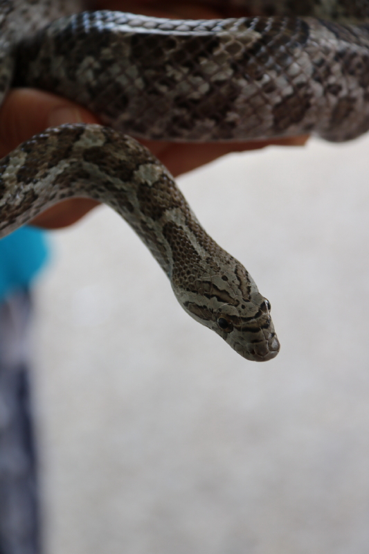 september-2016-086_1_1