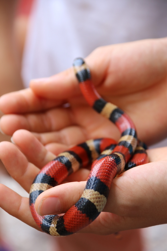 september-2016-095_9_1