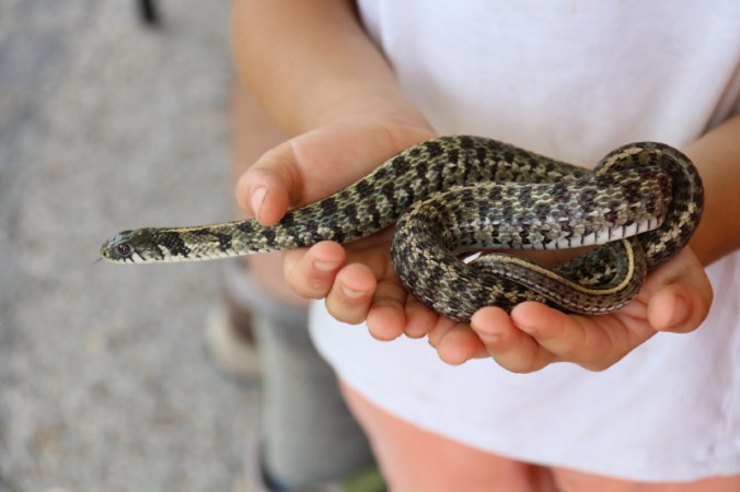 september-2016-096_10_1