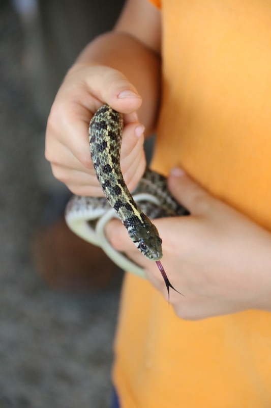 september-2016-097_11_1