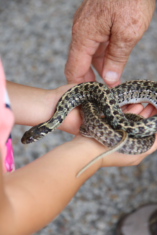 september-2016-103_15_1