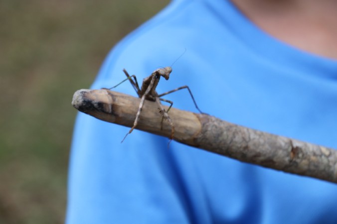 october-2016-003_1_1