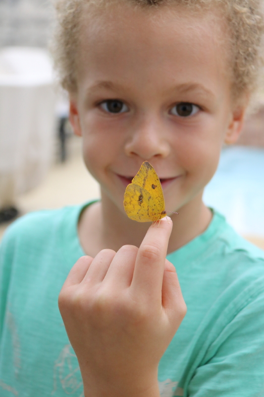 december-2016-039_1_1