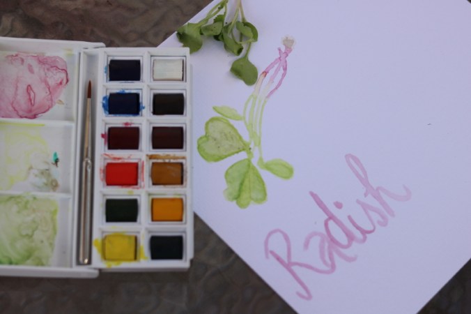 glimpse-intentional-life-with every intention