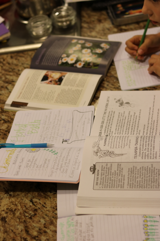 january-2017-002_1_1