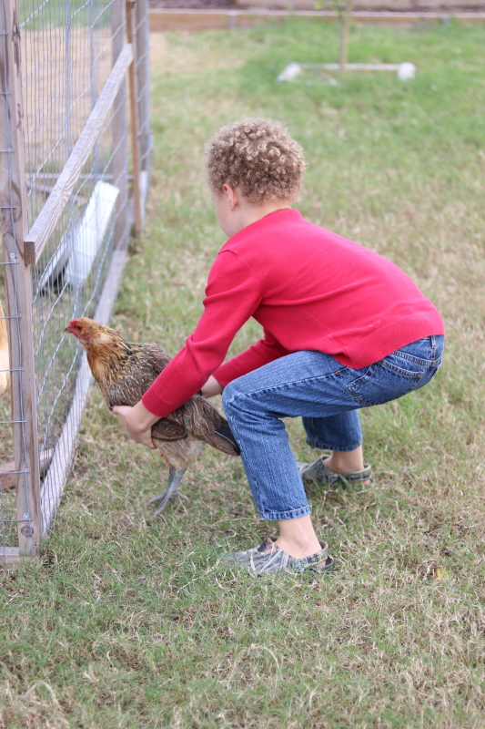 january-2017-116_3_1