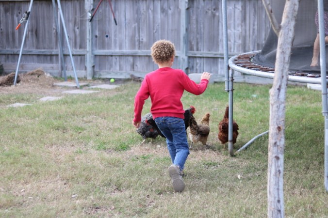 january-2017-120_5_1