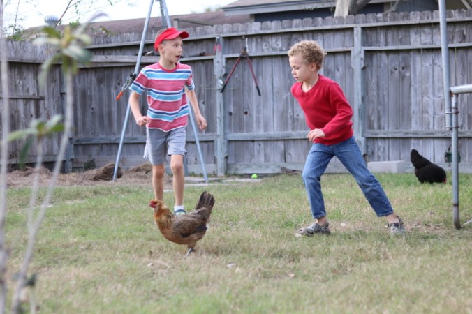 january-2017-121_6_1