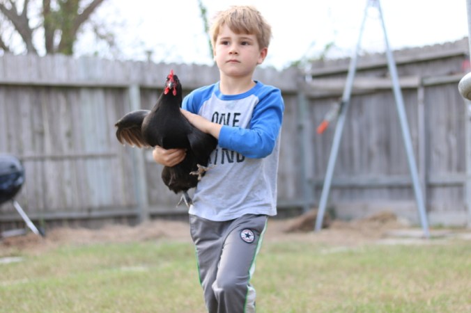 january-2017-125_9_1