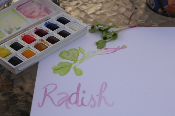 january-2017-184_1_1