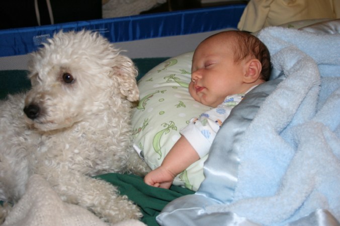 phoebe-is-protecting-me_1_1