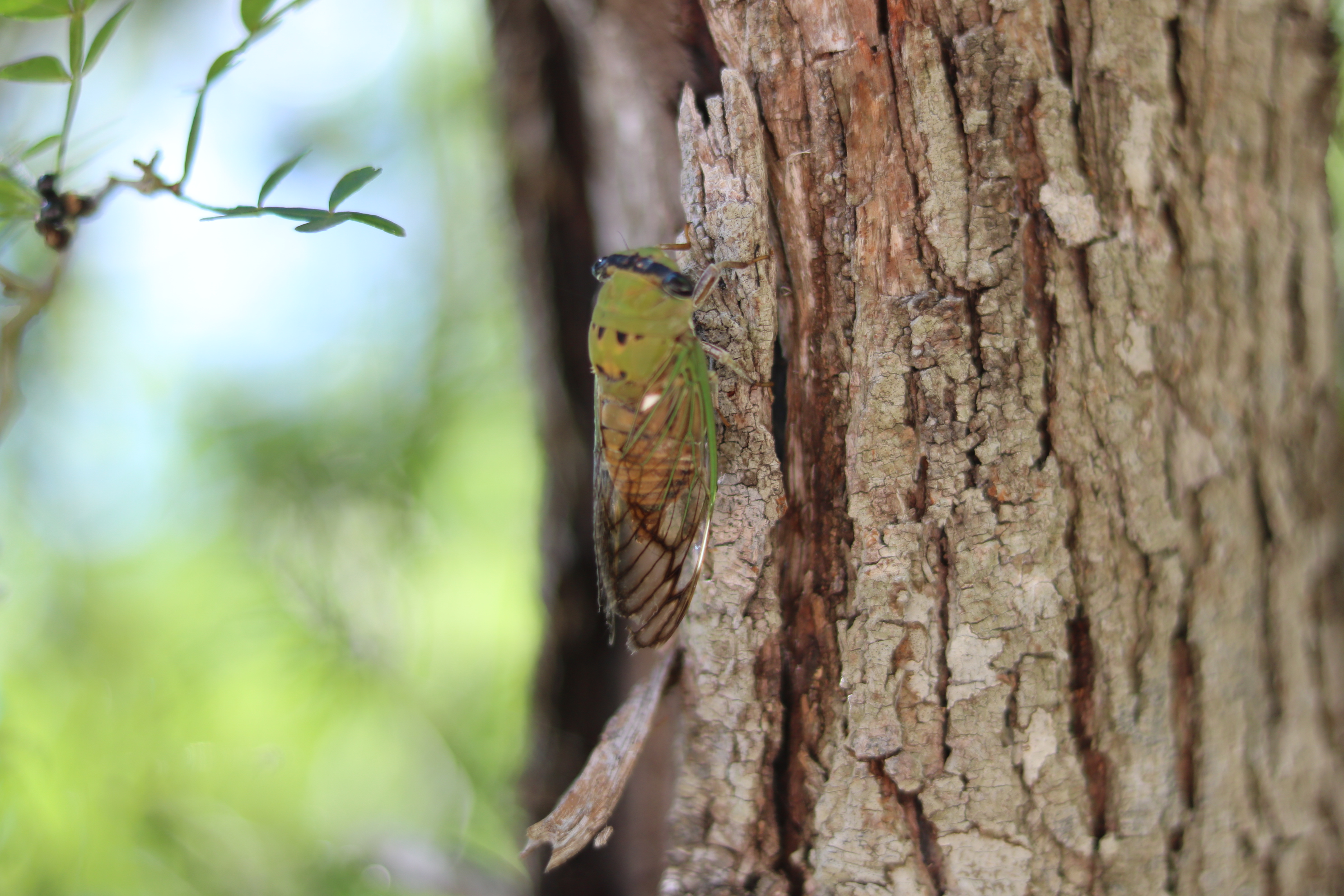 intentional-moment-with-every-moment