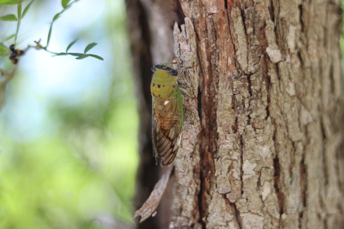 intentional-moment-with-every-moment