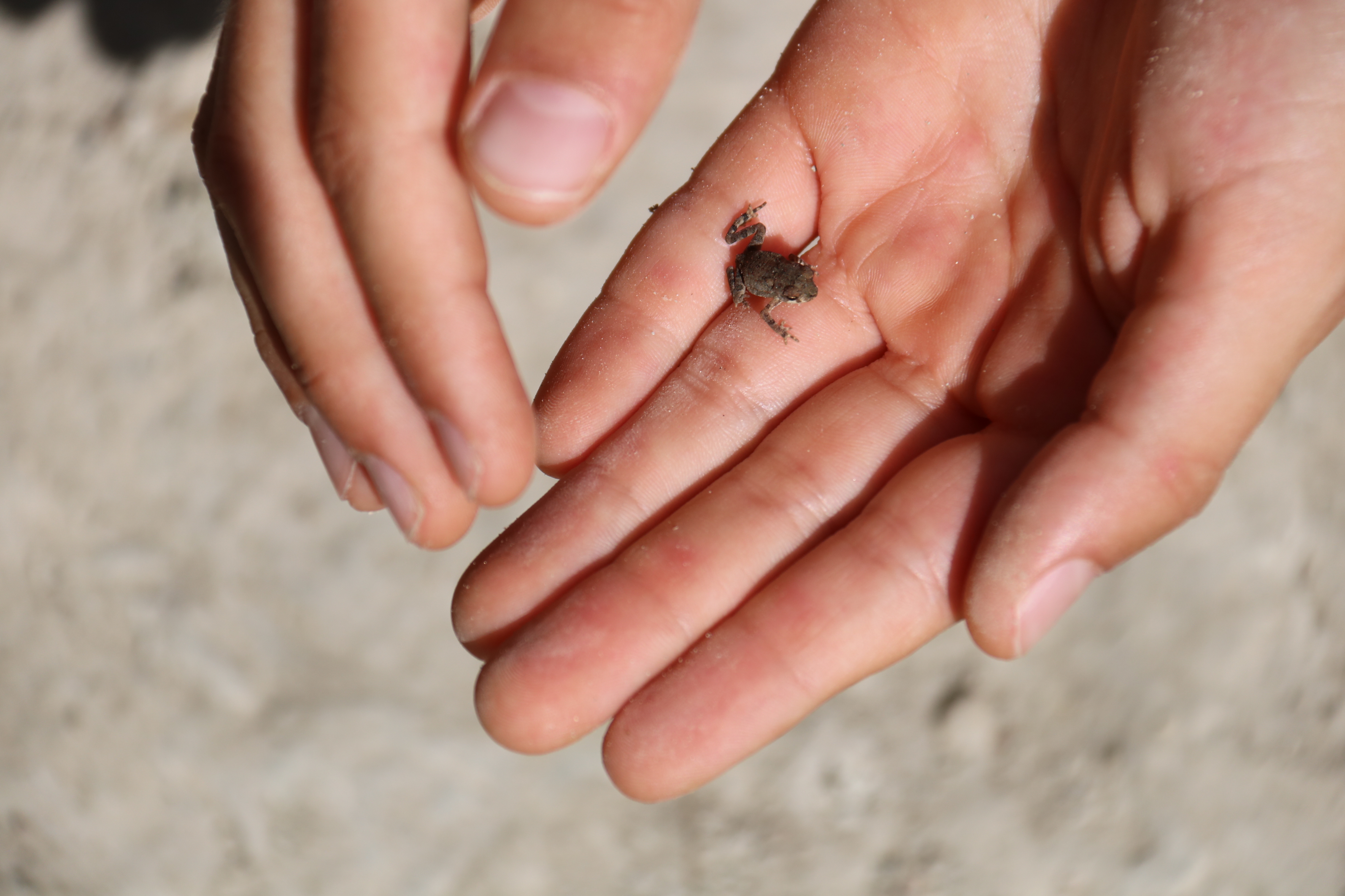 glimpse-intentional-life-with-every-intention