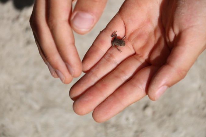 glimpse-intentional-life-with-every-intention