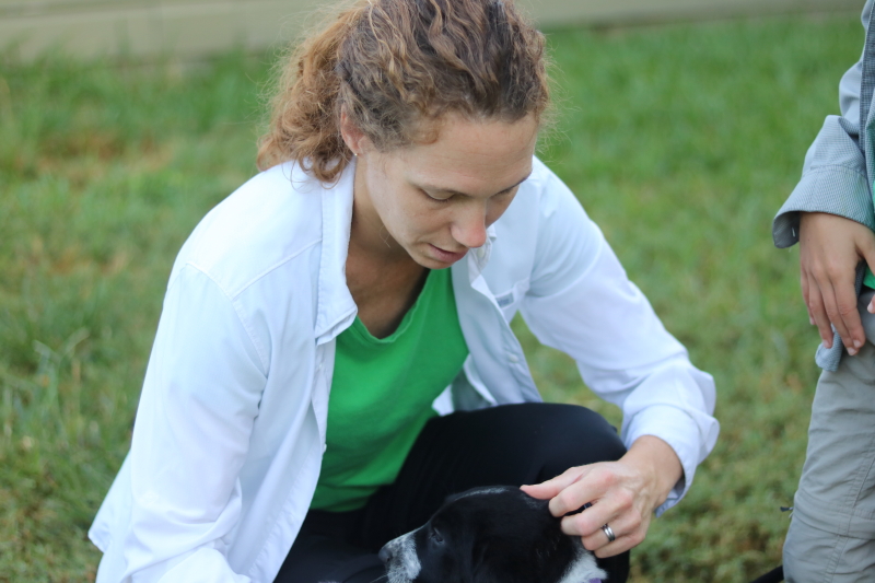 the-puppy-house-with-every-intention