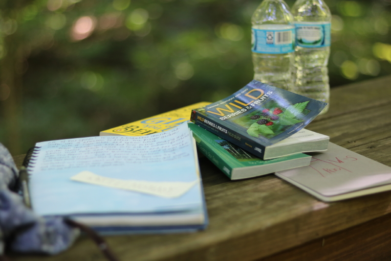 retreat-hocking-hills-with-every-intention